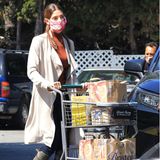 Shopping: Ashley Greene mit Einkaufswagen