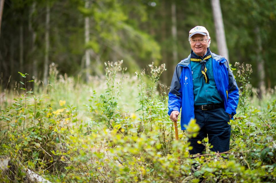 RTK: König Carl Gustaf auf der Insel Lovön RTK: König Carl Gustaf auf der Insel Lovön