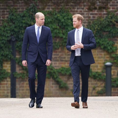 Prinz William und Prinz Harry