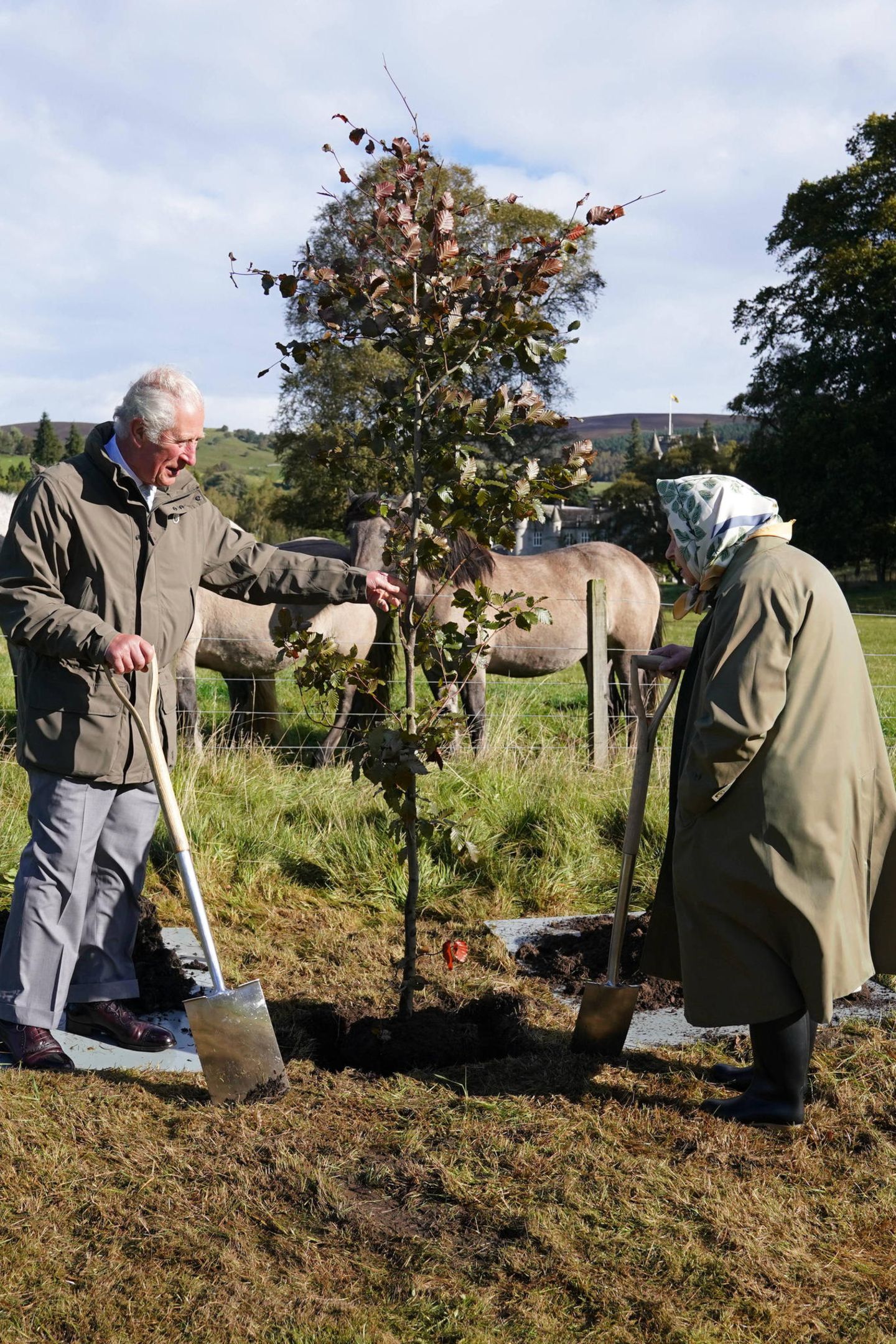 Prinz Charles und Queen Elizabeth pflanzen einen Baum