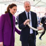 29. September 2021  Überhaupt keine Angst vor Schlangen haben Herzogin Catherine und Prinz William bei einem Besuch in Irland. Die beiden besuchen dort die Ulster Universität in Londonderry.