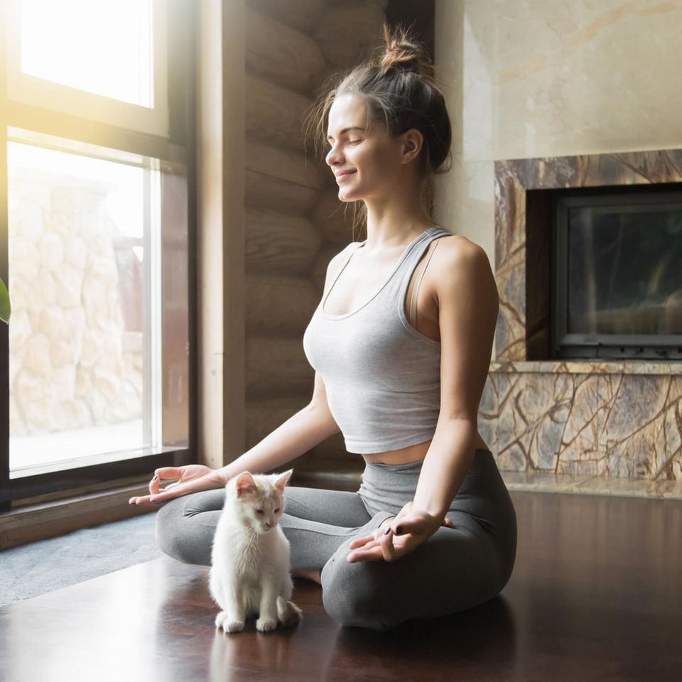 Aufgeklärt: 3 typische Missverständnisse über Meditation: Frau meditiert mit Katze