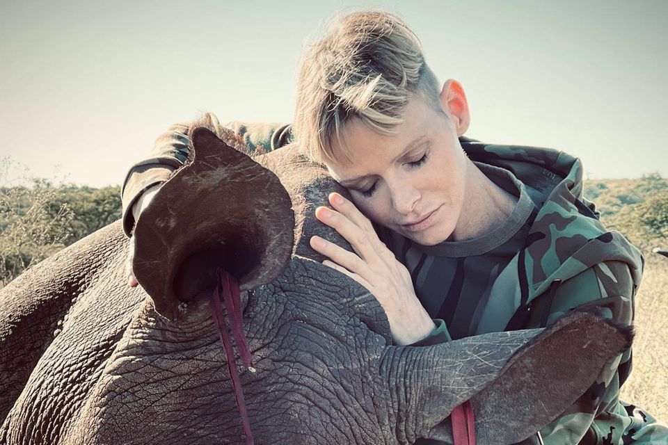 Charlène schmiegt sich an ein verletztes Nashorn. In Sachen Tierschutz will sie bald wieder nach Afrika fliegen.