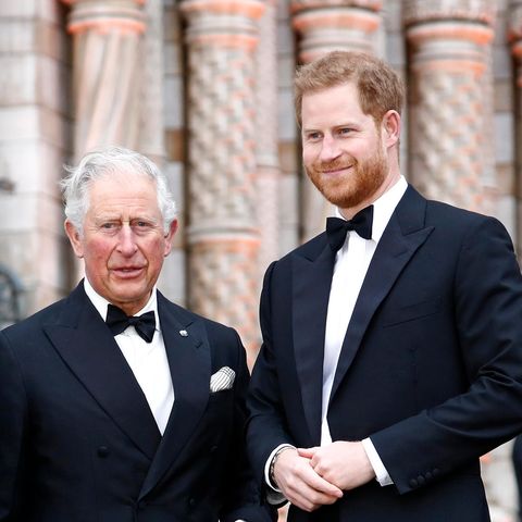 Prinz Charles und Prinz Harry