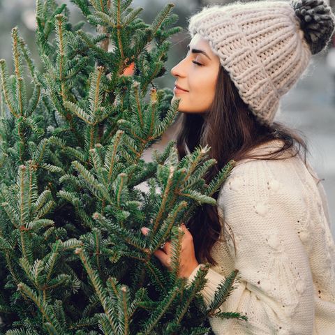 Horoskop: Frau kauft Weihnachtsbaum