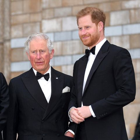 Prinz Charles lobt Prinz William und Prinz Harry für ihren Einsatz zur Bekämpfung des Klimawandels.