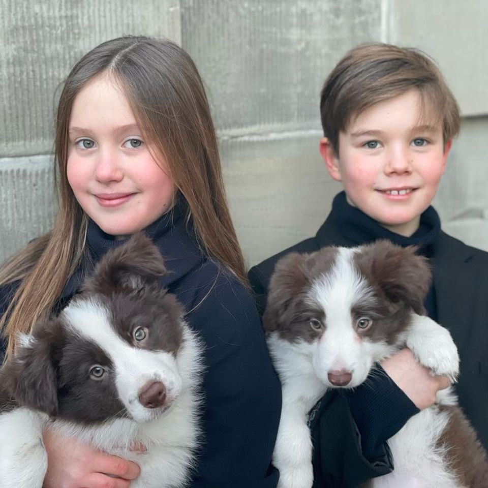 Prinzessin Josephine, Prinz Vincent, Porträt mit Hundewelpen