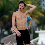Shawn Mendes, Strand, oben ohne, muskulös