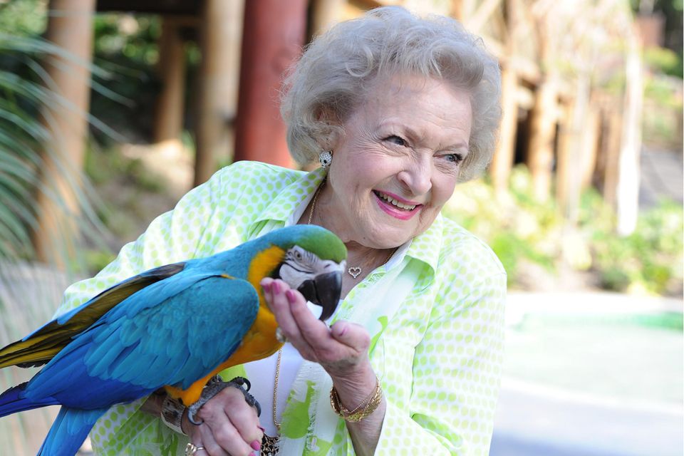 Betty White (†) : Betty White beim Besuch des 44. jährlichen Beastly Ball der Greater Los Angeles Zoo Association (GLAZA) im Los Angeles Zoo am 14. Juni 2014. Betty White beim Besuch des 44. jährlichen Beastly Ball der Greater Los Angeles Zoo Association (GLAZA) im Los Angeles Zoo am 14. Juni 2014.
