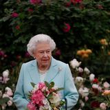 Queen Elizabeth: Königin Elizabeth 2016