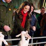 Mit einem breiten Lächeln streichelt Herzogin Catherine die kleine Ziege. Ins Auge springt dabei auch ihr hübscher roter Schal, den sie locker über ihrer dunkelgrünen Barbour-Jacke trägt. Die Haar trägt die Dreifach-Mama offen und leicht gewellt. 
