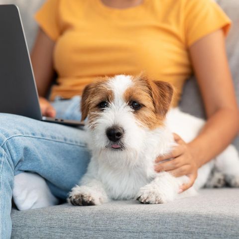 Frau mit Hund auf dem Sofa | Gedächtnis-Booster: So gut sind Haustiere laut Studie für unser Gehirn