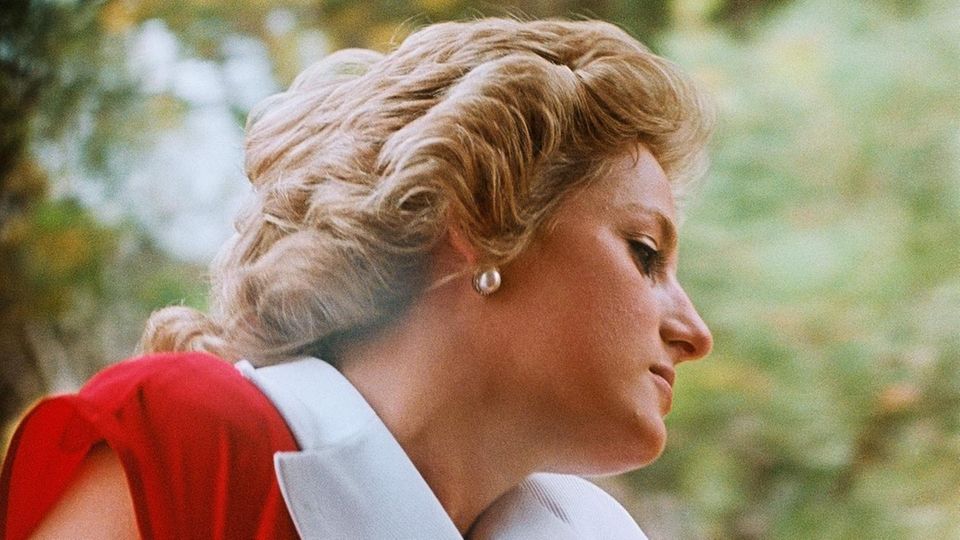 Prinz William: Prinzessin Diana Prinzessin Diana
