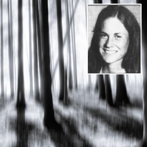 Bäume und ein Porträt von Kari Swenson