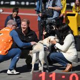 Flauschige Unterstützer am Rande des Sportplatzes bekommen von Herzogin Meghan eine Extraportion Streicheleinheit.
