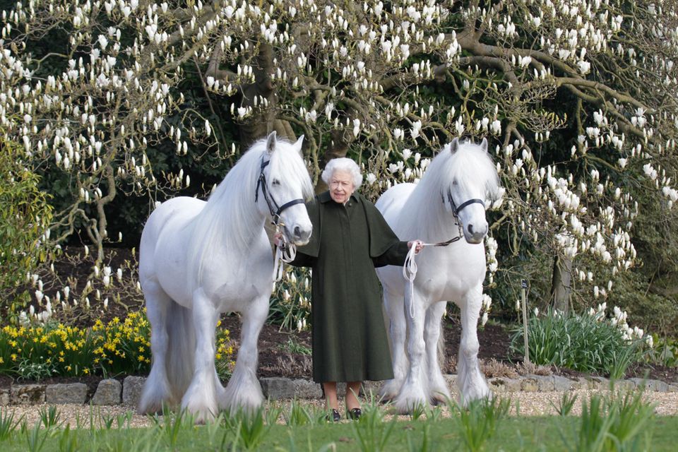 Queen Elizabeth Queen Elizabeth