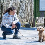 Pausen müssen natürlich auch sein, und dabei zeigt der niedliche Familienhund der Schweden-Royals, wie gut er für die Fotografen, die den offiziellen Termin begleiten, posieren kann.