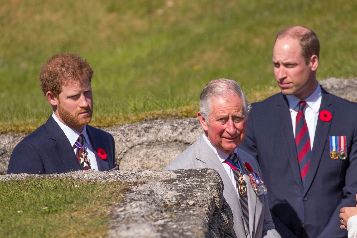 Prinz Harry, Prinz Charles und Prinz William