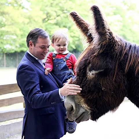 Auf dem Arm von Papa Guillaume kann Prinz Charles dort Esel streicheln.