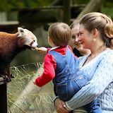 Und Mama Stéphanie lässt ihren kleinen Prinzen einen ziemlich zutraulichen roten Panda füttern. 