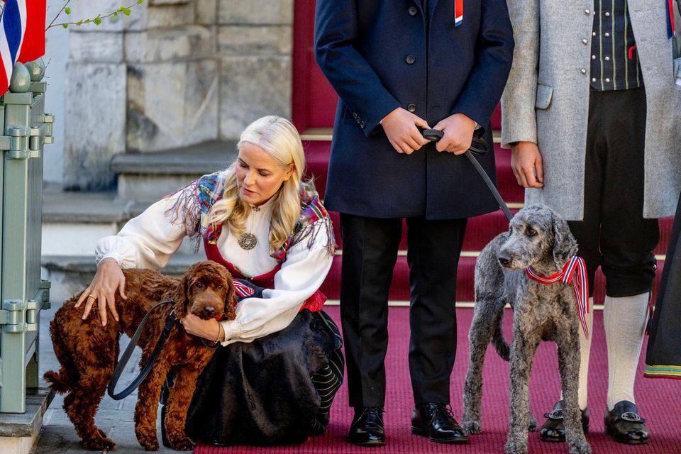 Prinzessin Mette-Marit + Co.: Mette-Marit kümmert sich um ihren etwas eingeschüchtert wirkenden Vierbeiner. Mette-Marit kümmert sich um ihren etwas eingeschüchtert wirkenden Vierbeiner.