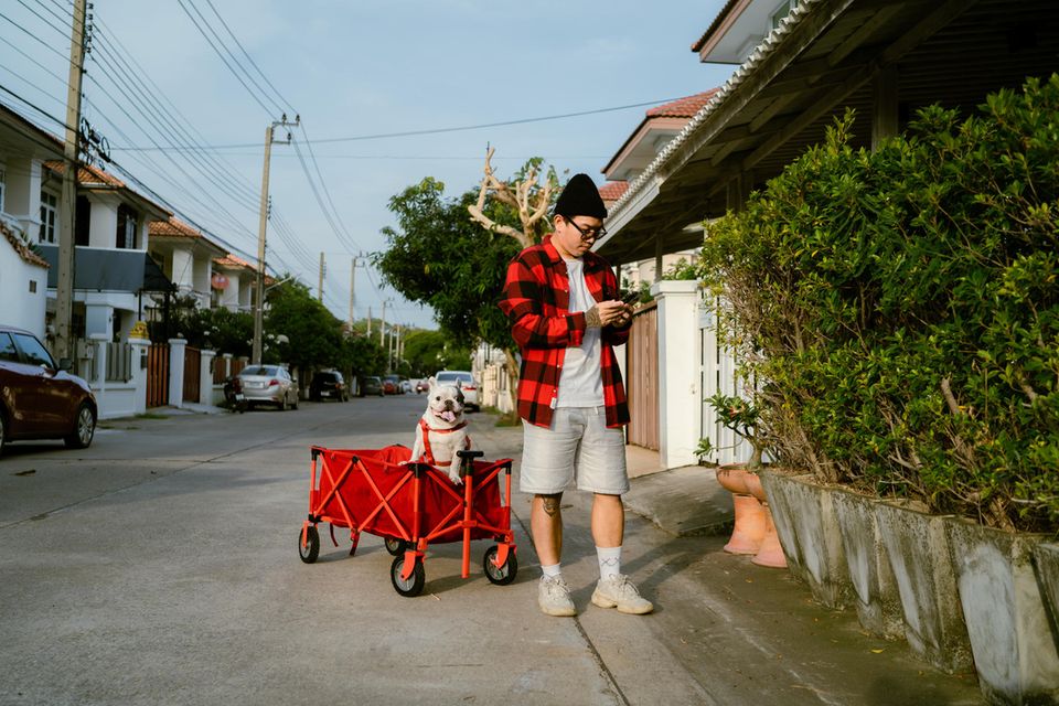 Ein junger Mann steht neben einem Bollerwagen, in dem ein Hund sitzt