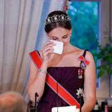 Emotionaler Moment! Bei ihrer großen Feier begrüßt Prinzessin Ingrid Alexandra ihre Gäste noch einmal ganz offiziell mit einer Rede. Dabei kämpft die 18-Jährige mit den Tränen und muss schließlich zum Taschentuch greifen. Dass Royals aus ganz Europa angereist sind, um sie zu ehren, rührt die junge Prinzessin offensichtlich.