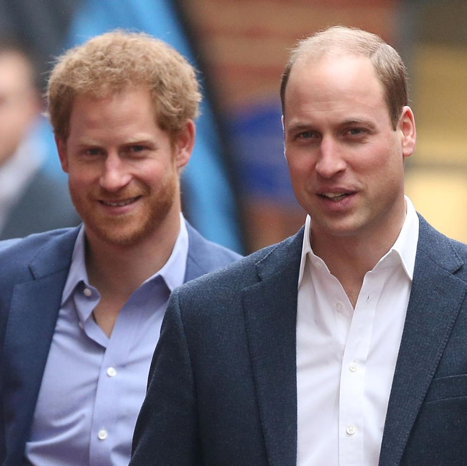 Prinz Harry + Prinz William
