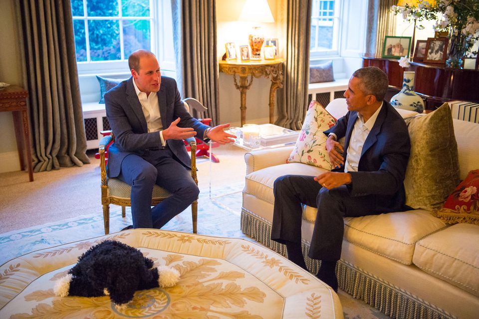 Prinz William + Herzogin Catherine: Prinz William (li.) empfing im April 2016 den damals amtierenden US-Präsidenten Barack Obama in seinem Wohnzimmer im Kensington Palast. Prinz William (li.) empfing im April 2016 den damals amtierenden US-Präsidenten Barack Obama in seinem Wohnzimmer im Kensington Palast.