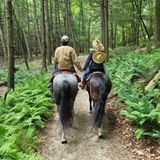 Stars lieben Pferde: Kevin Bacon und Kyra Sedgwick reiten.