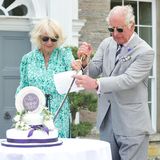 Herzogin Camilla und Prinz Charles schneiden Torte an
