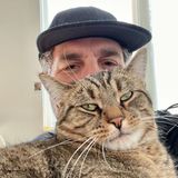 Cat Content: Mark Ruffalo mit Katze