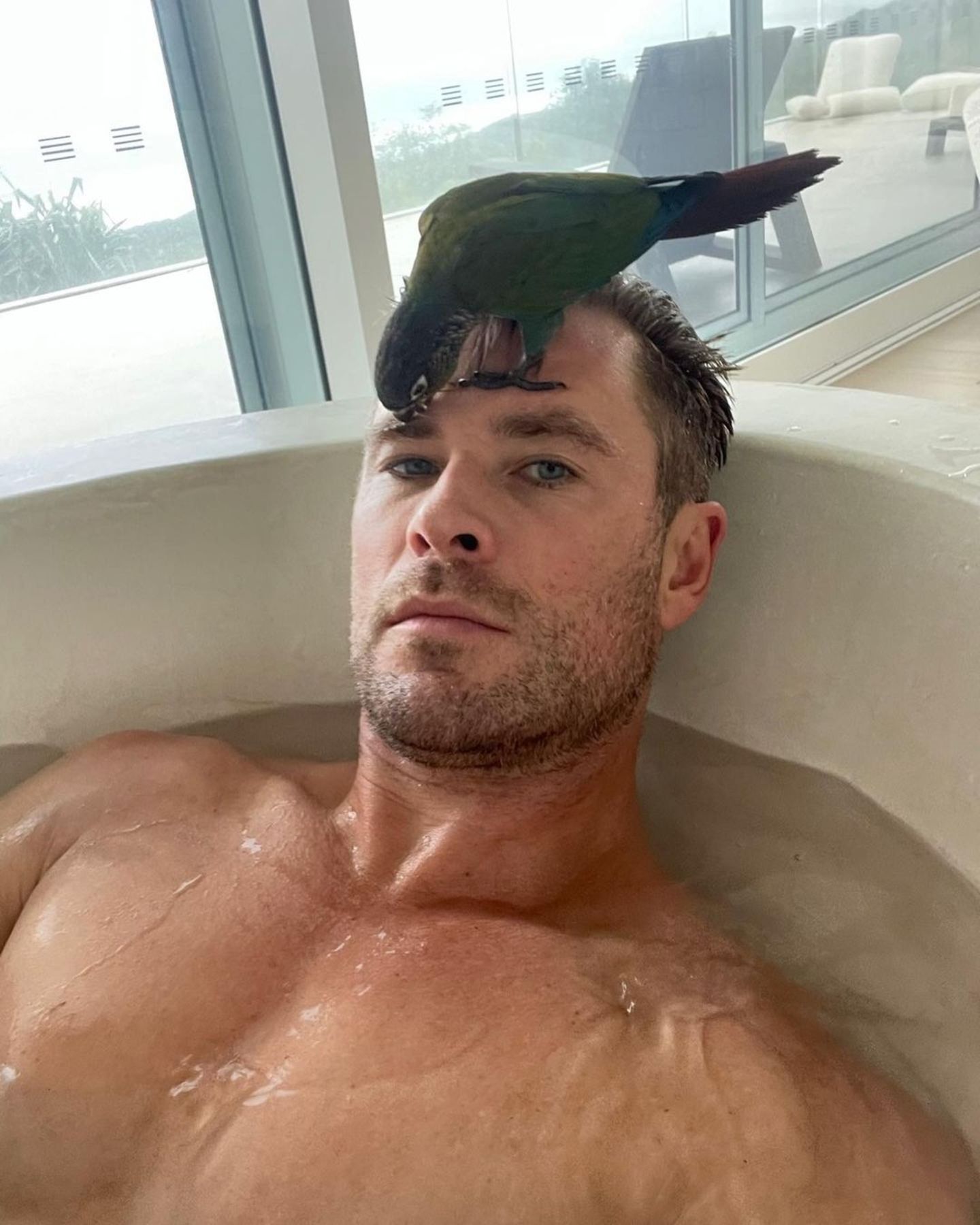 Familie: Chris Hemsworth mit Papagei in Badewanne - Geburtstagsgruß