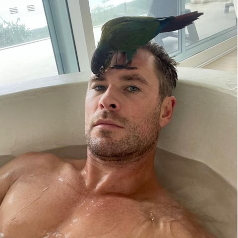 Familie: Chris Hemsworth mit Papagei in Badewanne - Geburtstagsgruß