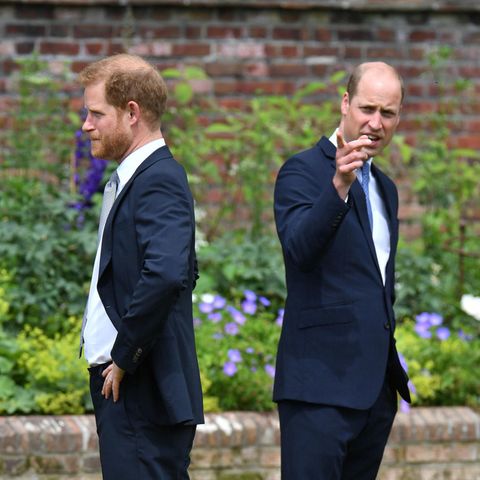 Prinz Harry und Prinz William