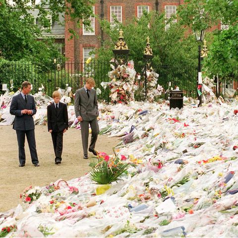 Der letzte Sommer von Lady Di: Charles, Harry, William besuchen die Gedenkstätte