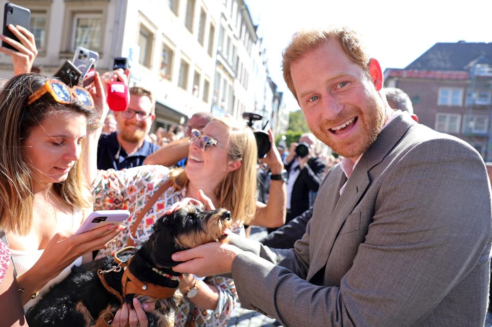 Prinz Harry findet einen tierischen Kumpanen. Der kleine Hund eines Fans hat es dem Royal offensichtlich angetan. Prinz Harry findet einen tierischen Kumpanen. Der kleine Hund eines Fans hat es dem Royal offensichtlich angetan.
