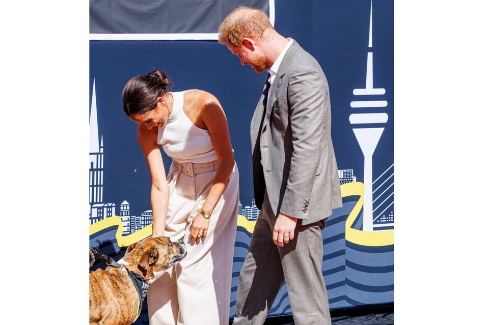 Prinz Harry + Herzogin Meghan: Für Meghan und Harry ist dieser zutrauliche Vierbeiner ein kleines Highlight am Düsseldorfer Rathaus. Den Militär-Hund begrüßen die beiden ebenso warmherzig wie die Menschenmege. Für Meghan und Harry ist dieser zutrauliche Vierbeiner ein kleines Highlight am Düsseldorfer Rathaus. Den Militär-Hund begrüßen die beiden ebenso warmherzig wie die Menschenmege.