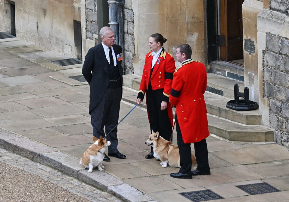 Auch die Corgis der Queen sind bereit, Prinz Andrew und zwei Hausangestellte kümmern sich um die beiden Lieblinge.