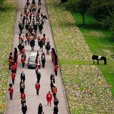 Ein Bild, bei dem einem das Herz ganz weit aufgeht: Das Lieblingspony von Queen Elizabeth, Emma, steht am Rand der Prozession, als der Sarg mit der Monarchin vorbeifährt.
