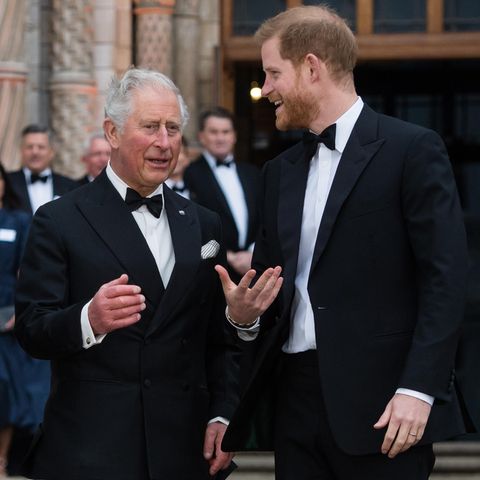 König Charles und Prinz Harry