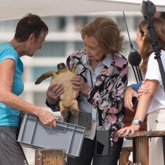 Royals beim Umweltschutz: Königin Sofia mit Schildkröte