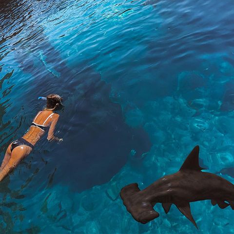 Das kann man mutig nennen! Alena Gerber hat sich im Hotel Atlantis, The Palm in Dubai ins Aquariumsbecken begeben und schwimmt dort eine Runde mit Hammerhai, Rochen und Co. Die Tiere seien ein bisschen ängstlich gewesen, dass sie beißen könnte, scherzt das Model unter die abenteuerlichen Instagram-Bilder.