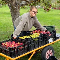 15. Oktober 2022  Erntezeit! Prinzessin Estelle ist stolz auf die vollen Kisten von Äpfeln und Birnen, die sie im Obstgarten auf Öland zusammen mit ihrer Familie gesammelt hat.