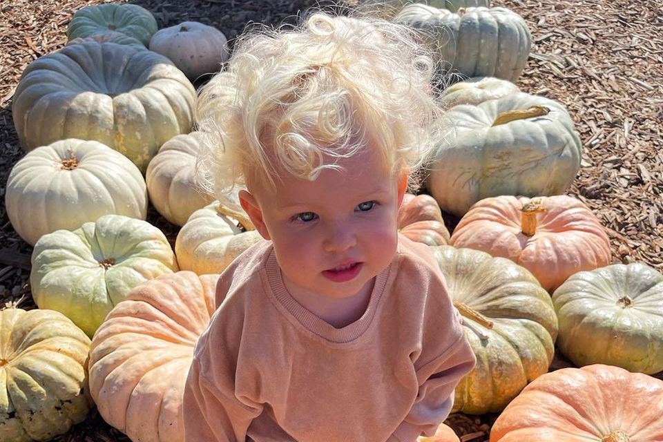 Zuckersüße Oktober-Grüße von Topmodel Elsa Hosk: Sie schickt ihren Instagram-Fans dieses bezaubernde Foto von Töchterchen Tuulikki, die mit ihrem strohblonden Wuschelköpfchen gar nicht schöner in das pastellfarbige Kürbisfeld passen könnte.
