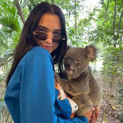 Stars mit wilden Tieren : Dua Lipa mit Koala
