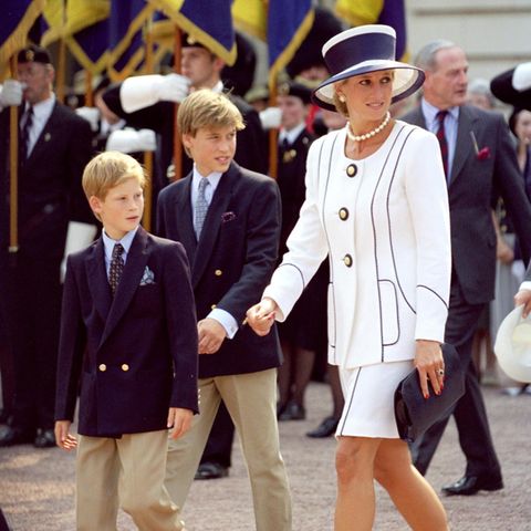 Prinz Harry, Prinz William und Prinzessin Diana