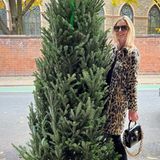 Weihnachtsdekoration: Nicky Hilton mit Tannenbaum