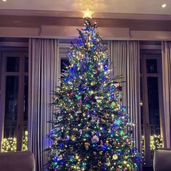 Weihnachtsbäume: Kelly Ripas Tannenbaum