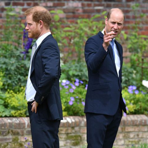 Prinz Harry und Prinz William